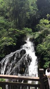 逃出林中村